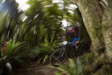 Danny Hellyer rides through the Alice in Wonderland trail during stage 2 of the 2013 Urge 3 Peaks Enduro held in Dunedin, New Zealand.