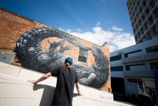 Graffiti artist ROA! checks his handiwork on the side of a building in Bath St, Dunedin, New Zealand. 