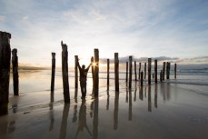An early riser salutes the sun at the poles on St Clair Beach, Dunedin, New Zealand. 