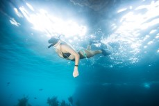 Local diver Demi Poynter dives beneath the surface during a dive at the Poor Knights Islands in Tutukaka, Northland, New Zealand