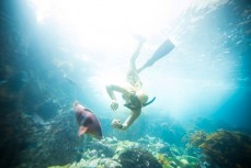 Demi Poynter follows a Sandager's wrasse in a cave during a dive at the Poor Knights Islands 23km off the Tutukaka Coastline, Northland, New Zealand.