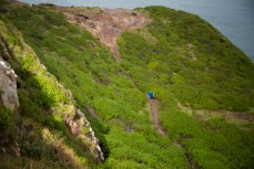 Ultra distance trail runner Glenn Sutton during an early morning training run on the Karetai Track, Dunedin, New Zealand. 