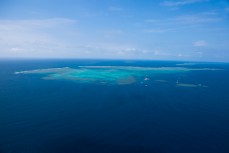 The Agincourt reefs of Great Barrier Reef from the air, Tropical North Queensland, Queensland, Australia. 