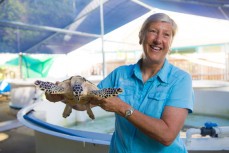 Turtle Rehabilitation Centre manager Jennie Gilbert holds Prince Harry a juvenile green sea turtle in rehabilitation on Fitzroy Island near Cairns, Tropical North Queensland, Queensland, Australia. 