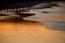 Golden light over St Clair Beach, Dunedin, New Zealand. 