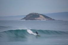 A surfer rides a wave at Blackhead Beach, Dunedin, New Zealand.