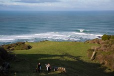 Large surf at a reef break near Papatowai, Catlins, New Zealand. 