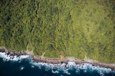 A rocky West Coast shoreline near Transit Beach, West Coast, New Zealand. 