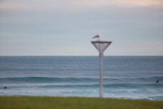 Swell lines wander into St Clair Beach, Dunedin, New Zealand. 