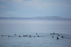A pack of surfers wait for a wintry wave at Blackhead Beach, Dunedin, New Zealand. 