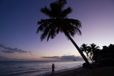 Nugget walks up the beach at a secret spot near Salani, Samoa. 