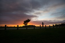 Sunrise at Main Beach, Mount Maunganui, New Zealand. 
