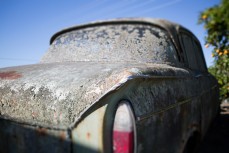 Seen better days this Mark 1 Hillman Super Minx left to soak int he sun near Gisborne, Eastland, New Zealand. 
