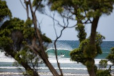 Sneaky pit through the trees at a remote beach in the Catlins, Southland, New Zealand. 