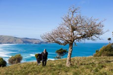 Jack Lynch contemplates a surf on Otago Peninsula, Dunedin, New Zealand. 