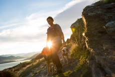 Kate Rive, with Hutch and Charlie (background) walk into the Autumn muster of the lake face at Cecil Peak Station, Queenstown, Central Otago, New Zealand. 