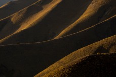 Lindis Pass in the afternoon light, South Canterbury, New Zealand. 