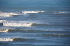 A surfer bottom turns at Manu Bay in solid surf, Raglan, Waikato, New Zealand. 