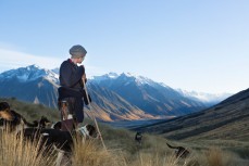 Ali Speedy with her team of dogs mustering the Sugarloaf at Glen Lyon Station, Lake Ohau, South Canterbury, New Zealand. 