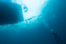 Demi Poynter ridses to the dive boat during a day at the Poor Knights Islands 23km off the Tutukaka Coastline, Northland, New Zealand.