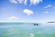 Two Hector's dolphins join a stunning winter surf in small, fun waves on the North Coast, Dunedin, New Zealand. 