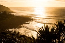 Afternoon sunshine bathes the points at Whale Bay, Raglan, New Zealand. 
