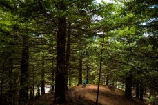 Glenn Cullen and Jamie Mead ride Hipster trail during a Rotorua mountain biking trip, Rotorua, New Zealand.