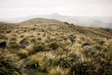 A rider pedals through the tussocks on Flagstaff during the 2015 Urge 3 Peaks Enduro mountain biking race held in Dunedin, New Zealand. 