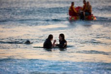 Swimmers encounter a playful sealion during an evening swim at St Kilda Beach, Dunedin, New Zealand. 