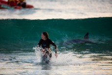 A swimmer encounters a playful sealion during an evening swim at St Kilda Beach, Dunedin, New Zealand. 