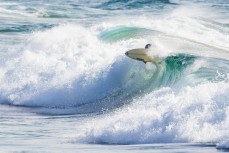 A surfer boosts from the lip at Dee Why Beach on the Northern beaches of Sydney, NSW, Australia. 