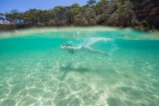Rachael swims at Pebbly Beach in Murramurang National Park on the South Coast of NSW, Australia. 