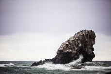 Large rock at Karitane on the North Coast, Dunedin, New Zealand. 