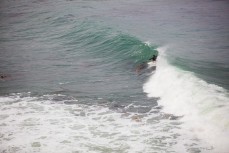 A surfer negotiates the kelp on the North Coast, Dunedin, New Zealand. 