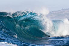 A beautiful wave at a remote reefbreak near Dunedin, Otago, New Zealand. 