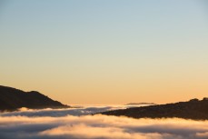 Low-lying cloud creeps up Otago Harbour, Dunedin, New Zealand. 
