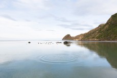 Glassy conditions at a remote beach on Otago Peninsula, Dunedin, New Zealand. 