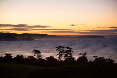 Pre-dawn across the Papatowai Forest reveals a small swell running in the southern Catlins, New Zealand. 