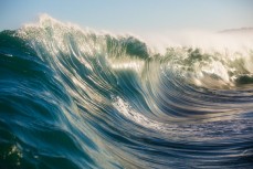 A wave breaks on a remote reef break on the Otago coast, New Zealand. 