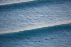 Surfers shuffle for a set on a fun day up the North Coast, Dunedin, New Zealand. 