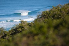 A healthy peak not far from Dunedin, New Zealand. 