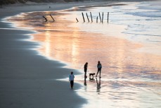 Kids run with their puppy on St Clair Beach, Dunedin, New Zealand. 