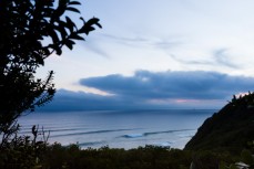 A new swell through the trees at Smaills Beach, Dunedin, New Zealand. 