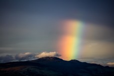 , Dunedin, New Zealand. 