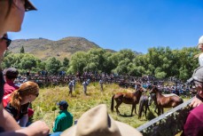 The St James horse sale held on January 28, 2017 at St James, Hanmer, New Zealand.