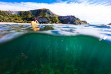 Levi O'Connor takes some visitors to see Hope Springs at Kaikoura, Canterbury, New Zealand.