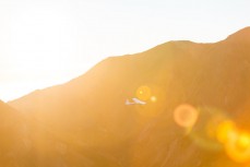 Colin Nimmo flies the Cessna 180 at dawn over Muzzle Station, Kaikoura, New Zealand.