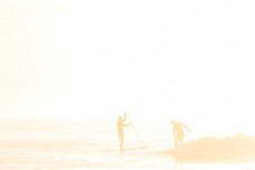 Summer morning surf session at St Clair Beach, Dunedin, New Zealand. 