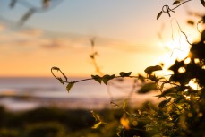 Sunrise at a remote beach near Dunedin, New Zealand.