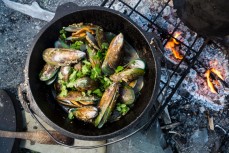 Fresh mussels while rafting the Clarence River from Hanmer to Clarence, Marlborough, New Zealand.